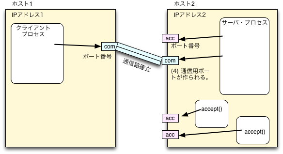 図3(d) TCP/IP通信路の開設(4)。通信路が確立される。サーバ側で、通信用ポートが作られる。