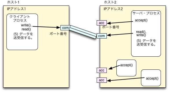 図3(e) TCP/IP通信路の開設(5)。クライアント、サーバとも write(),read() でデータの送受信。