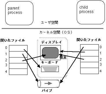 $B?F;R$G(B close();dup();close() $B8e(B