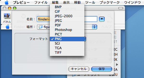 BMP, GIF, JPEG, PDF, Photoshop, PICT, PNG, SGI, TGA, TIFF