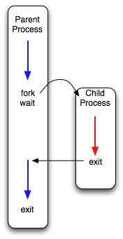 fork-parent-child-scheduling-wait