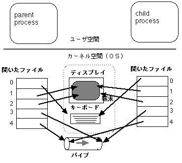 fork() $B%7%9%F%`%3!<%k<B9T8e(B