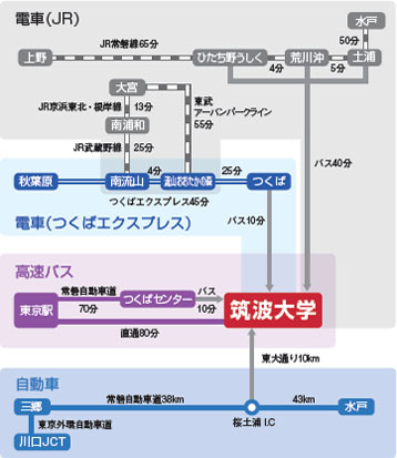 路線図