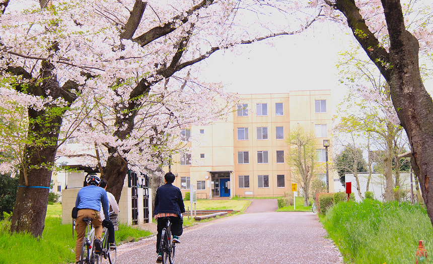 在学生の一日の写真