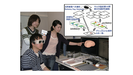 大脳皮質でどのように形が符号化されているかを示すモデルと視覚の情報処理についてディスカッションしている写真