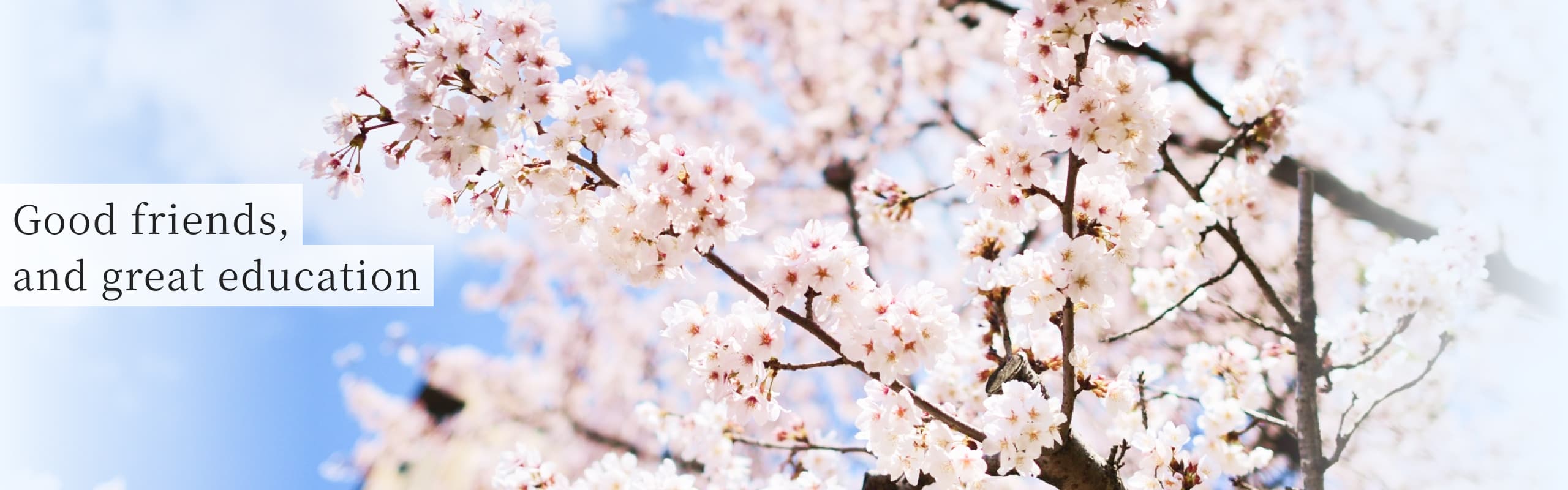 Good friends, and great education